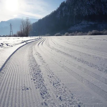 Wohlfuehlstudio Bergblick In Διαμέρισμα Walchsee