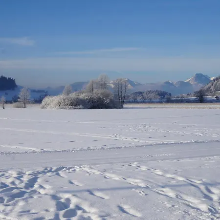 Wohlfuehlstudio Bergblick In *