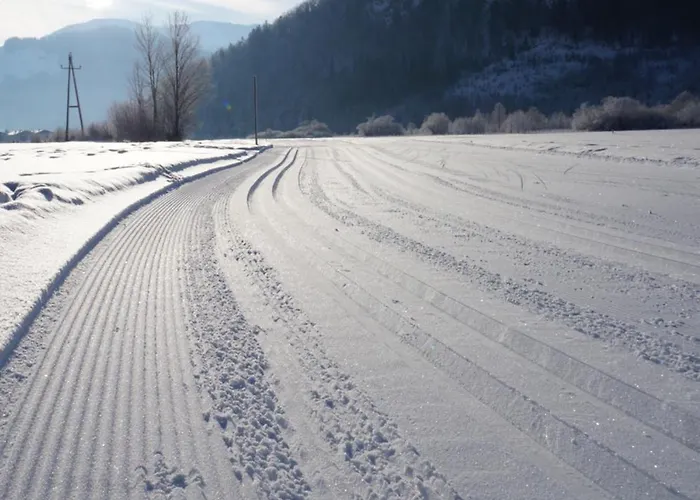 Wohlfuehlstudio Bergblick In Lägenhet Walchsee